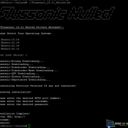 FLUSSONIC 23.01 NULLED