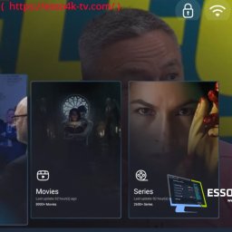 OnePlayer V2 + Panel 2