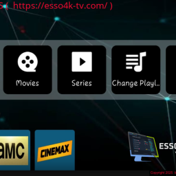 VIRGINIA PLAYER 1.7   +  PANEL