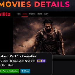 Video Streaming Portal (TV Shows, Movies, Sports, Videos Streaming, Live TV) V2.4 Nulled 2.4