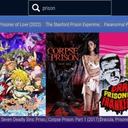 Xtream iptv player v1.15 TMDB